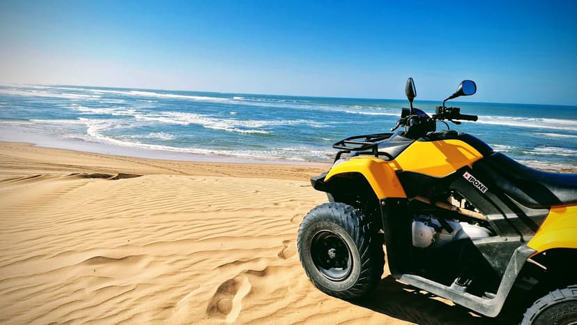 Quad face à l'océan