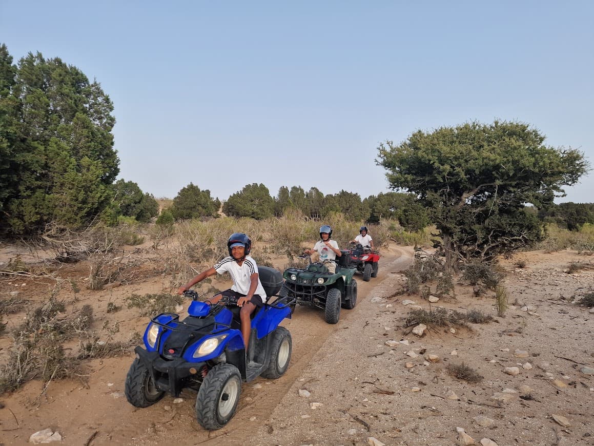 Découverte de la Forêt